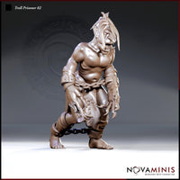 Crouching troll with shackled ankles and wrists bound by chain, bare torso, lank hair, splayed claws, wearing a rough stitched hide loincloth. Sculpt by Novaminis.