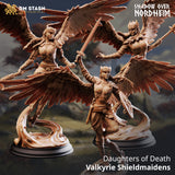 Valkyrie Shieldmaidens - Daughters of Death Bundle by DM Stash