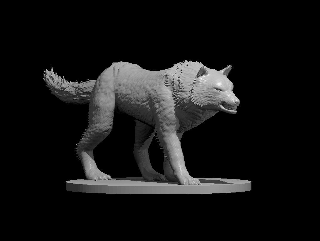 Dire Wolf MM2025 by MZ4250