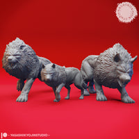 Dire Wolf Bundle by Yasashii Kyojin Studios