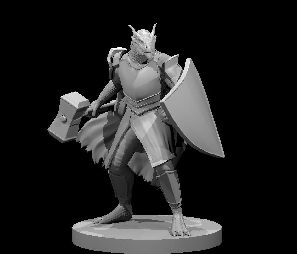 Dragonborn Paladin w/ Warhammer & Shield by MZ4250