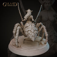 Drider Bundle by Galaad Miniatures