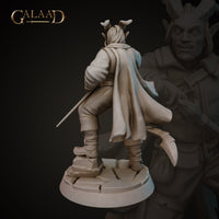 Male Tiefling Duelist 01 by Galaad Miniatures