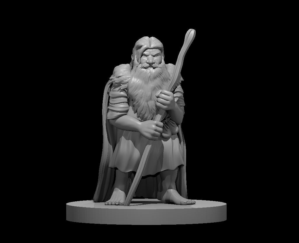 Dwarf Male Druid 3 by MZ4250