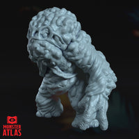 Eater of Knowledge by Monster Atlas