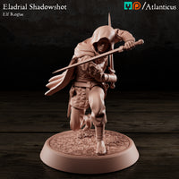 Eladrial Shadowshot w/Shortswords by Atlanticus Arts