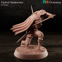 Eladrial Shadowshot w/Shortswords by Atlanticus Arts