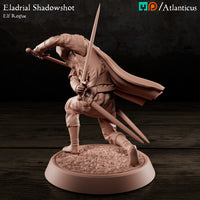 Eladrial Shadowshot w/Shortswords by Atlanticus Arts