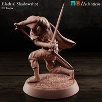 Eladrial Shadowshot w/Shortswords by Atlanticus Arts