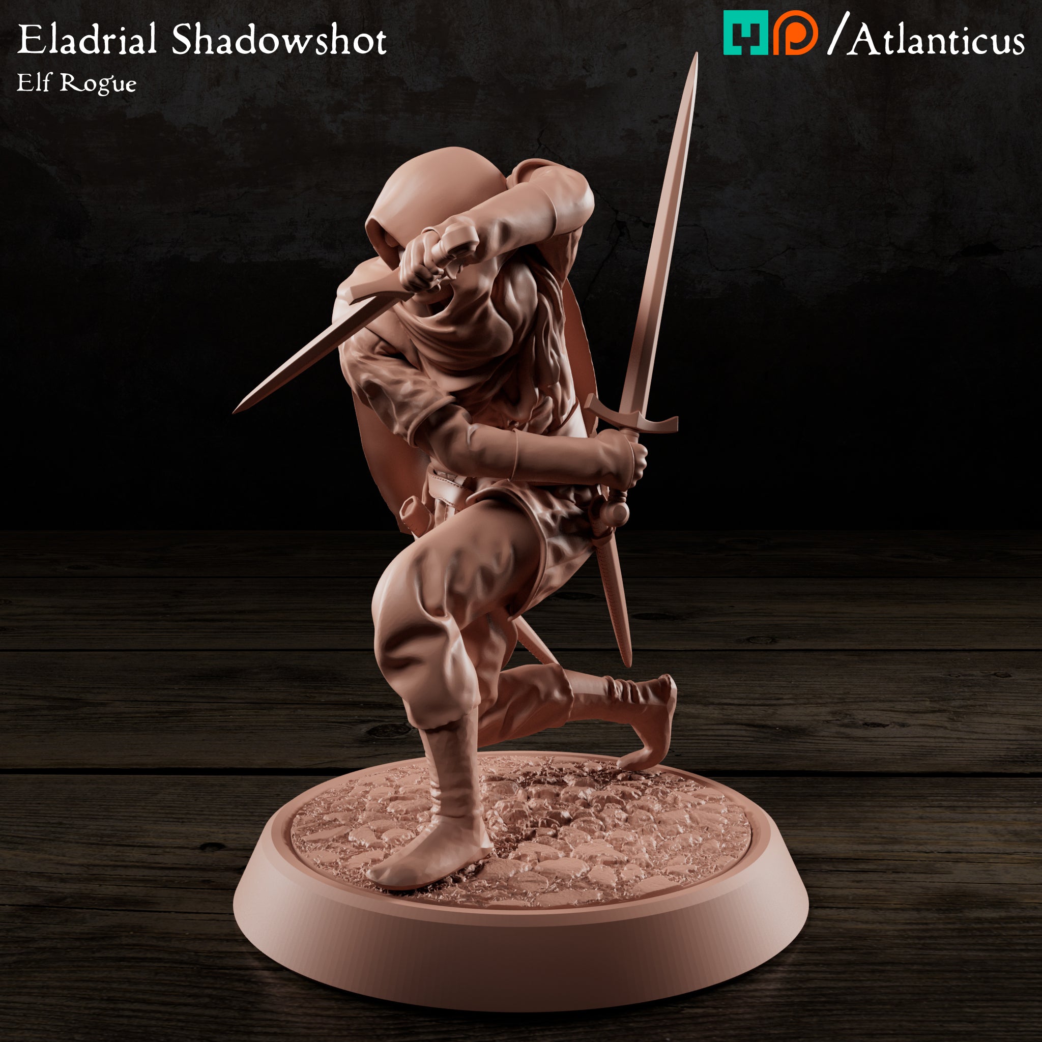 Eladrial Shadowshot w/Shortswords by Atlanticus Arts