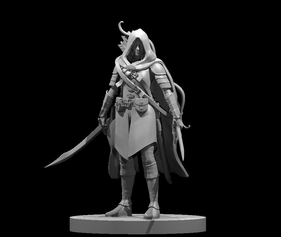 Elf Female Ranger w/ 2 Swords by MZ4250