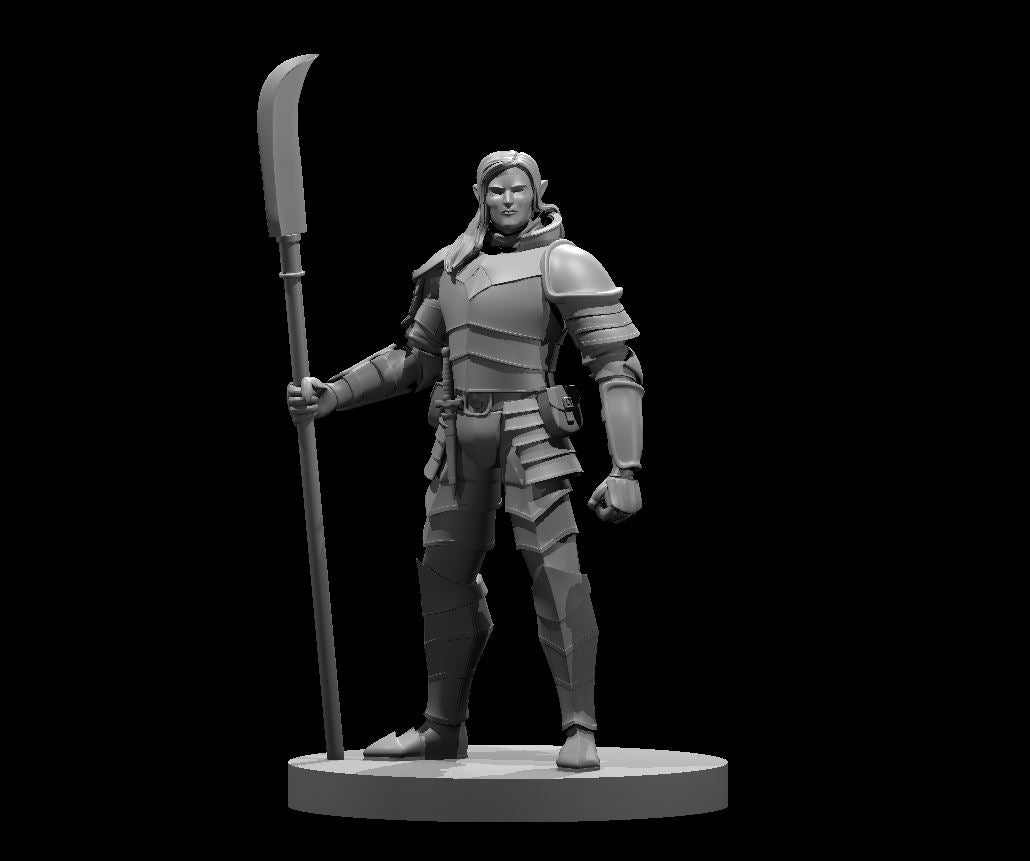 Elf Male Fighter Heavy Armor w/Glaive by MZ4250