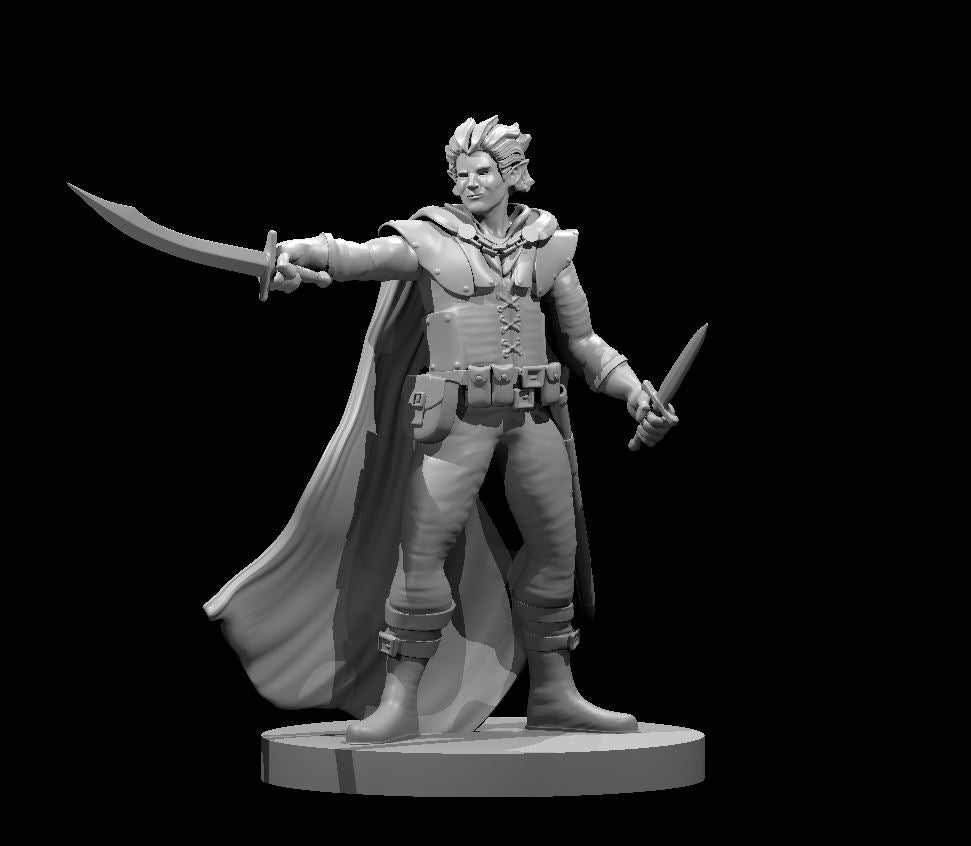 Elf Male Swashbuckler by MZ4250