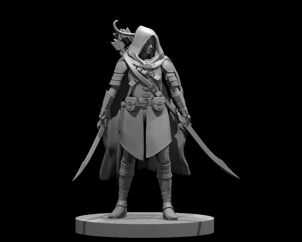 Elf Ranger w/Two Swords by MZ4250