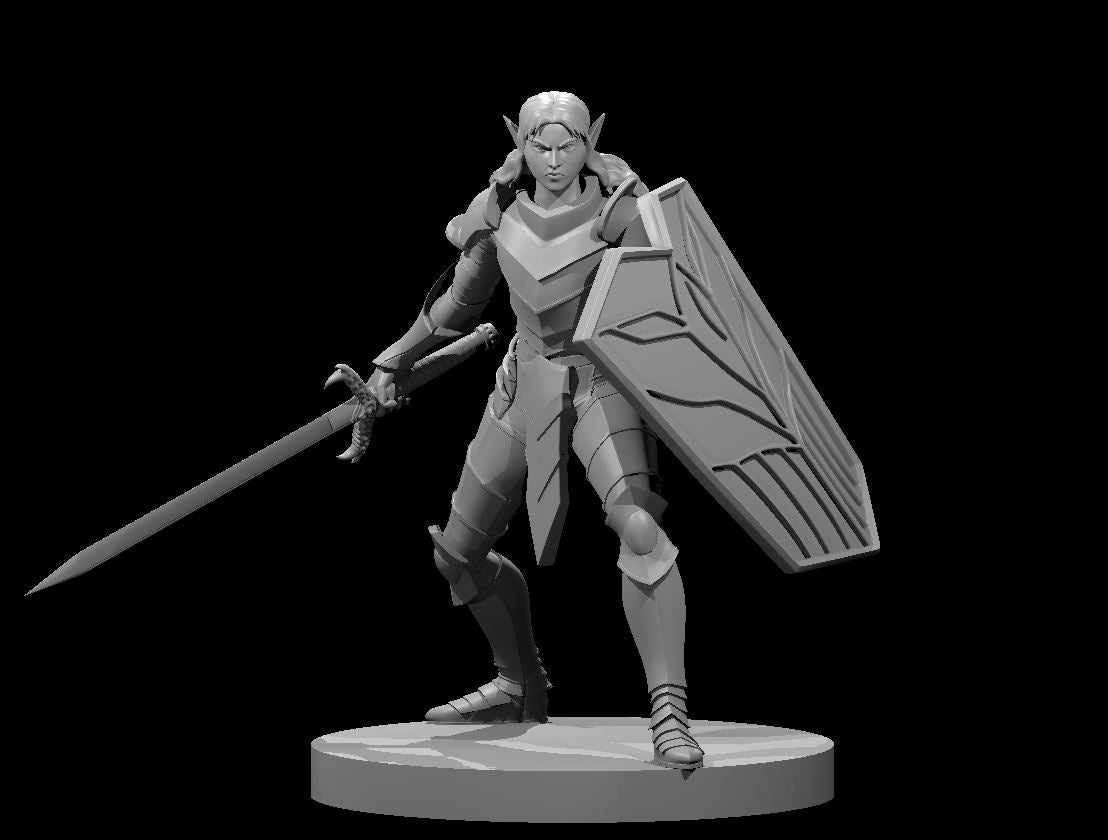 Elven female paladin holding a longsword low at her side and raising a large kite shield, wearing angular articulated plate armour, hair swept back, focused expression. Sculpt by MZ4250.