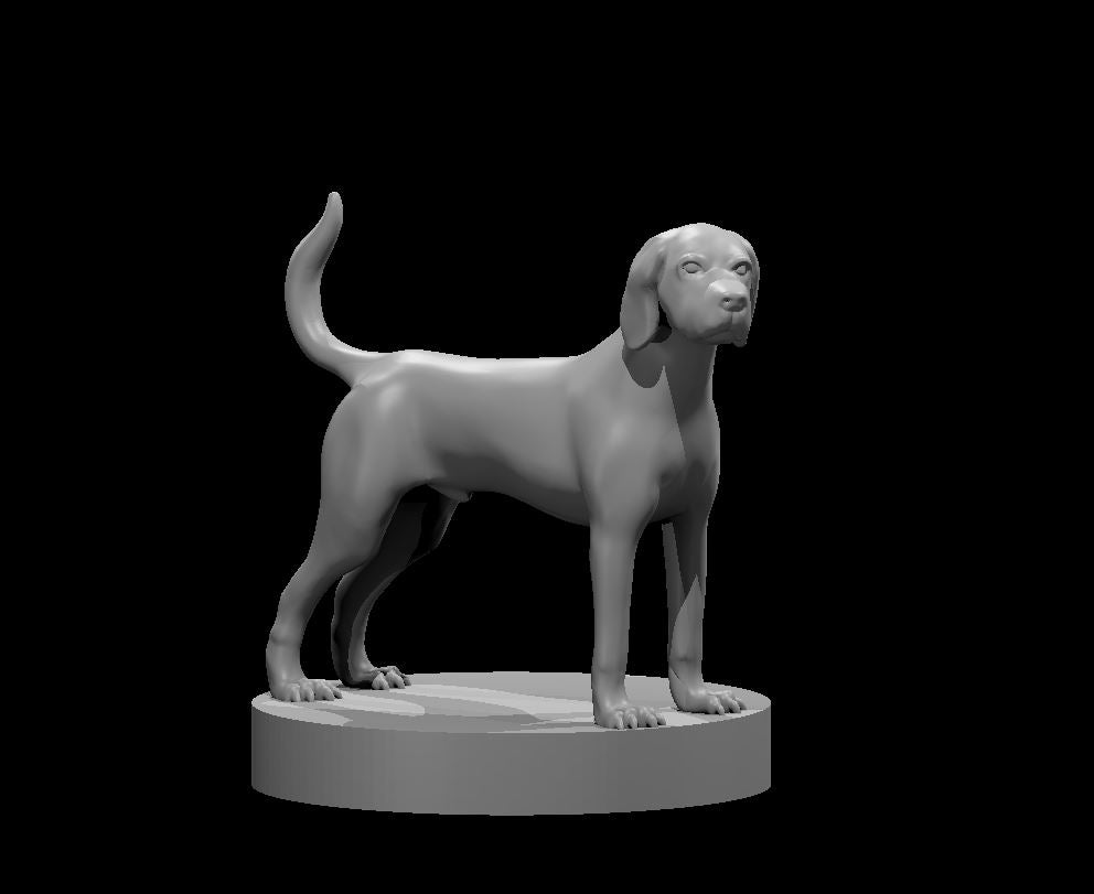 English Foxhound miniature by MZ4250 — a lean, alert hound standing with tail raised, long floppy ears, deep chest, and slender legs on a plain round base.
