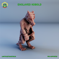 Enslaved Kobold by The Toadstool Weaver