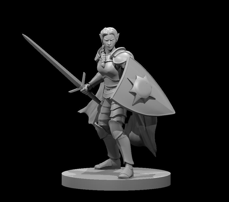 Female Elf Light Paladin w/ Sword & Kite Shield by MZ4250