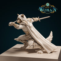 Foxfolk Rogue - Hikaru by DnD Is A Woman