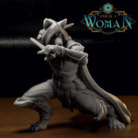 Foxfolk Rogue - Hikaru by DnD Is A Woman