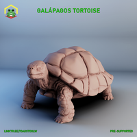 Galapagos Tortoise by The Toadstool Weaver