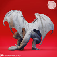 Gargoyle Bundle by Yasashii Kyojin Studios
