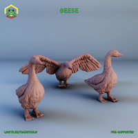 Geese by The Toadstool Weaver