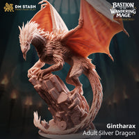 Adult Silver Dragon (Gintharax) by DM Stash