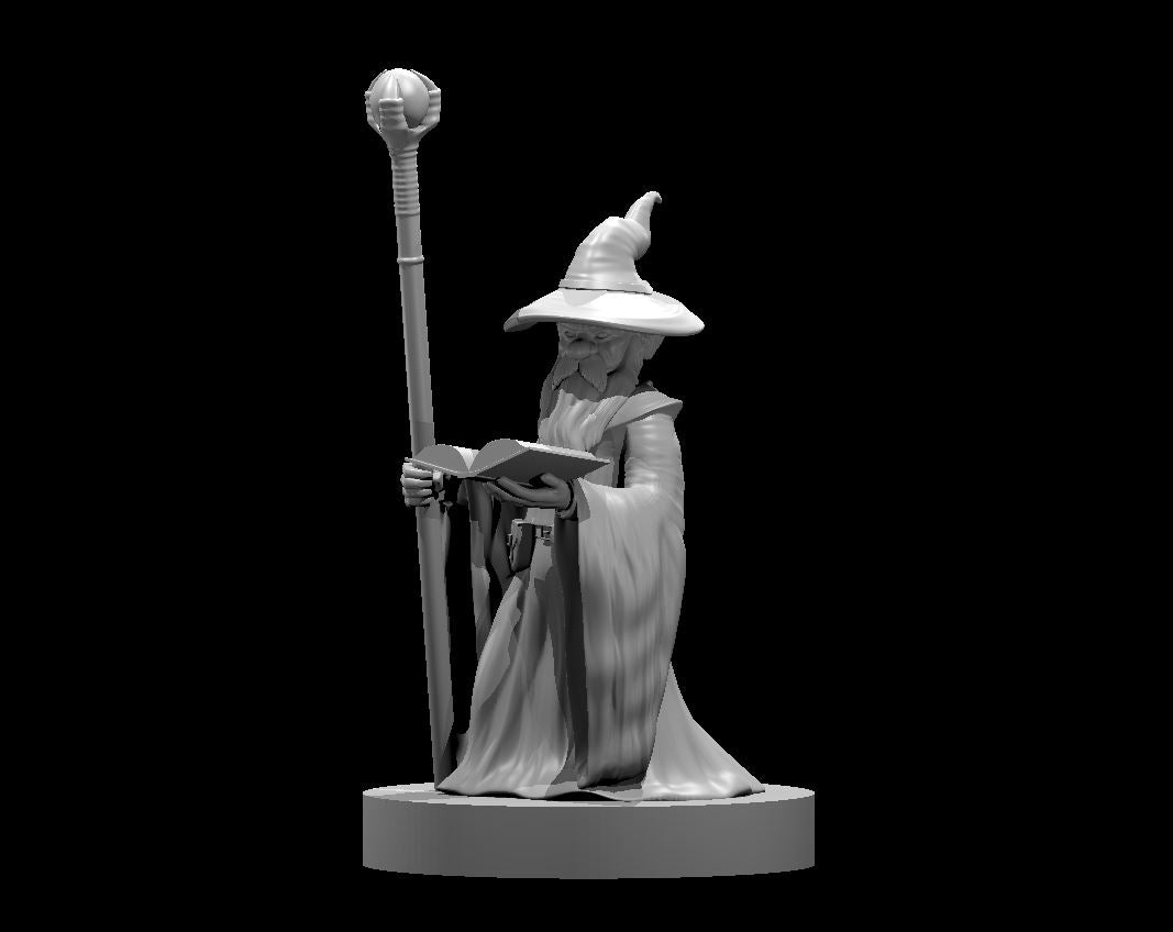Gnome Male Wizard 2 by MZ4250