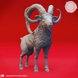 Giant Goat Bundle by Yasashii Kyojin Studios