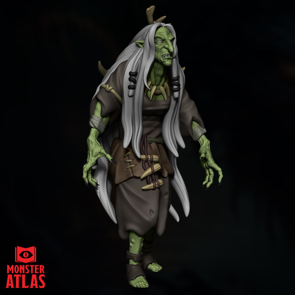 Green Hag by Monster Atlas