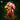 Grell miniature by The Toadstool Weaver — a bulbous brain-like creature with a wide open hooked beak, a blind sunken eye, and a mass of thick ridged tentacles splaying downward.