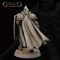 Rear view of the same unpainted grey resin Queen's Elite Guard 01 miniature, showing a dramatic flowing tattered cape, articulated pauldrons and backplate detail, kite shield visible at the right side, and cracked cobblestone base