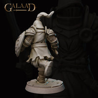 Rear view of Queen's Guard 04 — an unpainted grey resin miniature showing intricate knotwork detail on the pauldrons and vambraces, a flowing tabard, and a plumed helmet, on a cracked cobblestone base. Sculpted by Galaad Miniatures.