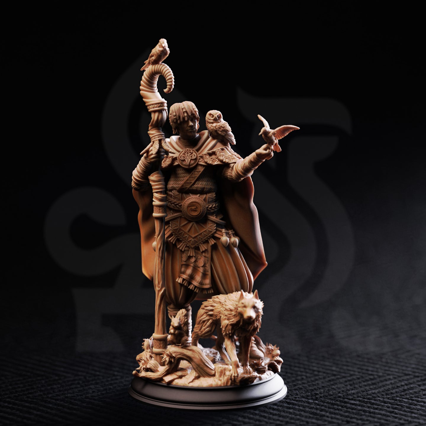 Animal Friend Shaman (Gwambari) by DM Stash