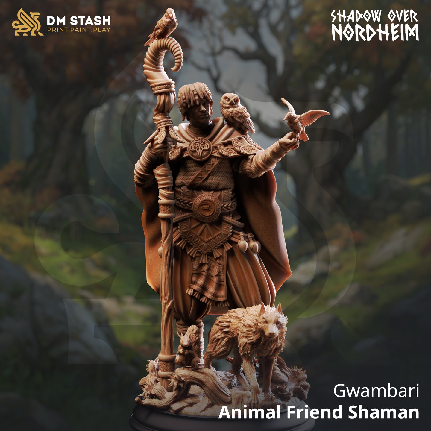 Animal Friend Shaman (Gwambari) by DM Stash