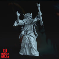 Mad Mage (Halaster Blackcloak) by Monster Atlas