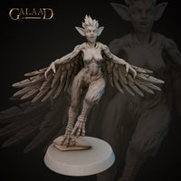 Harpy 02 by Galaad Miniatures