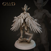 Harpy 03 by Galaad Miniatures