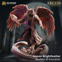 Digital render of Hoover Brightfeather, an Owlfolk Student of Evocation miniature by DM Stash — wings spread wide, open spellbook in one hand, standing on a swirling arcane energy base in a long decorated robe with ornate chest detailing, shown in warm pink-beige resin tones with purple lighting