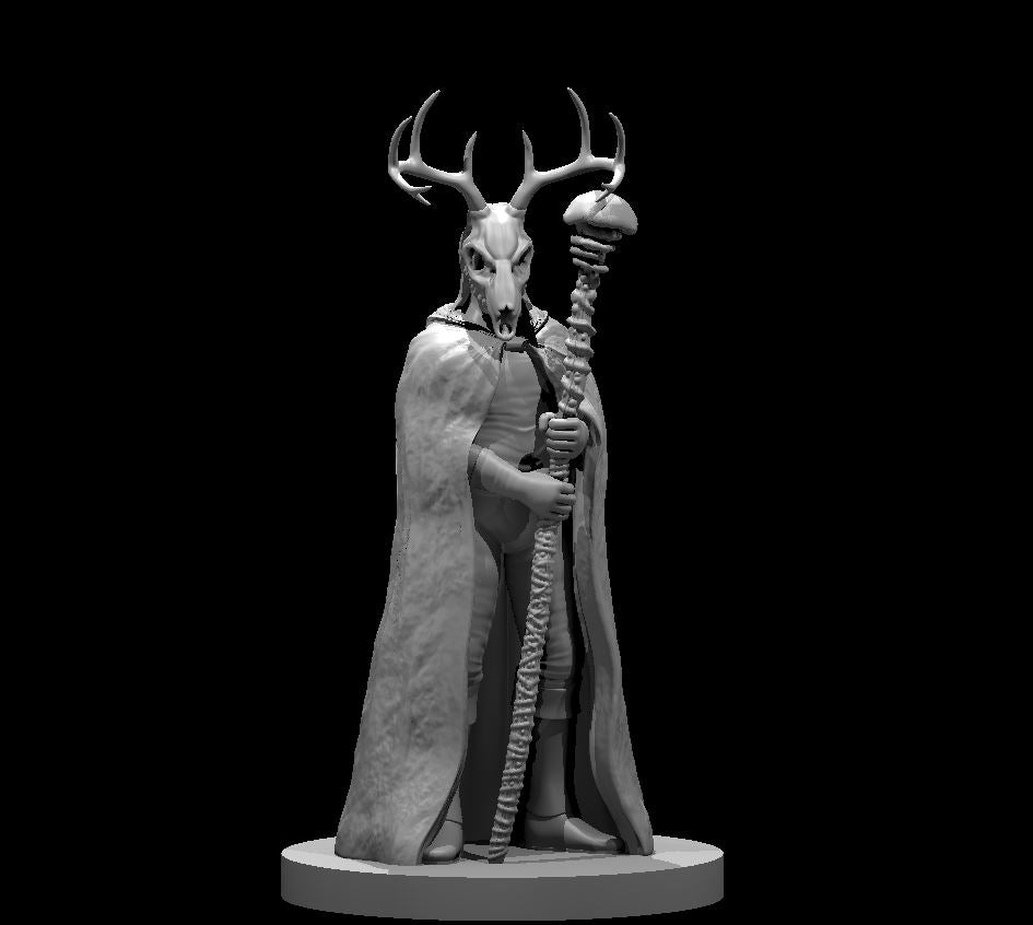 Human Male Druid 5 Circle of Spores by MZ4250