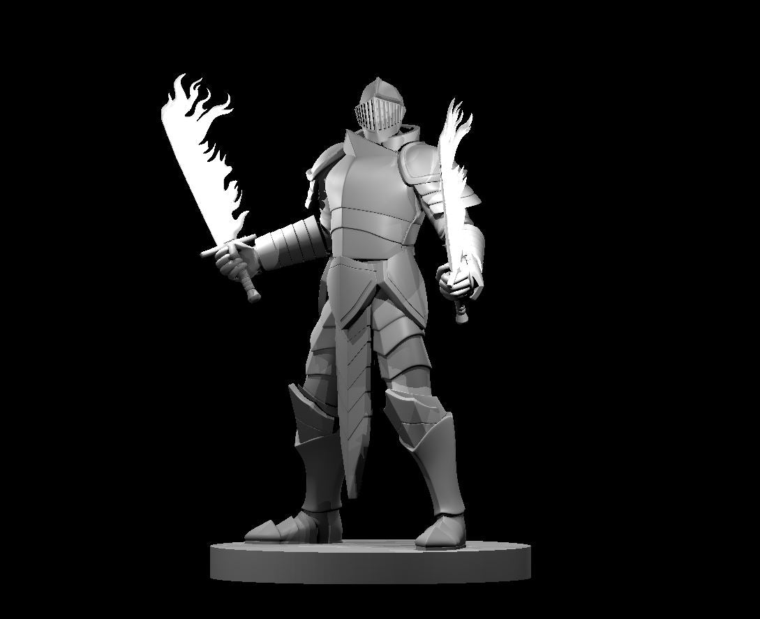 Human Male Paladin 2 w/2 Short Swords by MZ4250