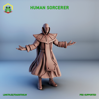 Human Sorcerer by The Toadstool Weaver