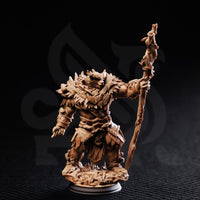 Druid of the White Tundra (Hvitabjorn) by DM Stash