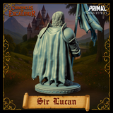 Rear view of Sir Lucan knight bust miniature — unpainted grey resin digital render showing sweeping frayed campaign cloak, pauldron detail, battle standard, and shoulder-length grey hair