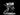Grey resin digital render of an Ice Devil miniature at 32mm scale — insectoid devil in a wide combat stance holding a spear across its body, with compound eyes, curved horns, sabre fangs, segmented chitinous torso, spiked bracer, and a coiled tail, mounted on a round rocky base