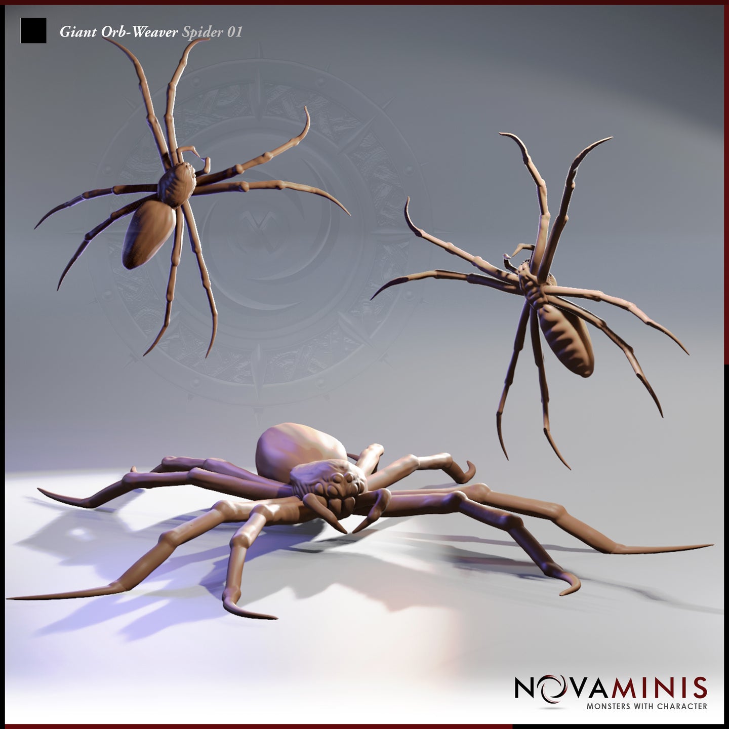 Giant Orb Weaver Spider Bundle by Novaminis