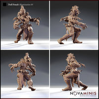 Troll Abomination Bundle by Novaminis