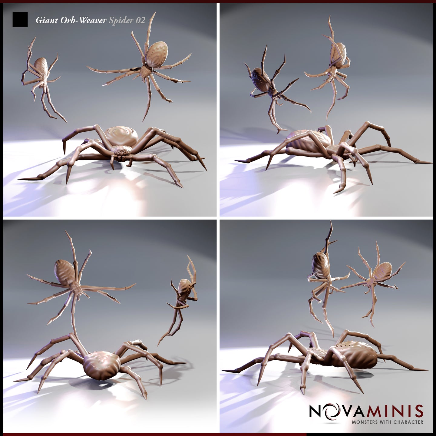 Giant Orb Weaver Spider Bundle by Novaminis