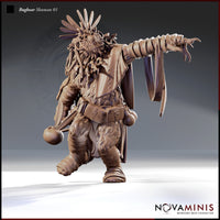 Bugbear Shaman 01 by Novaminis